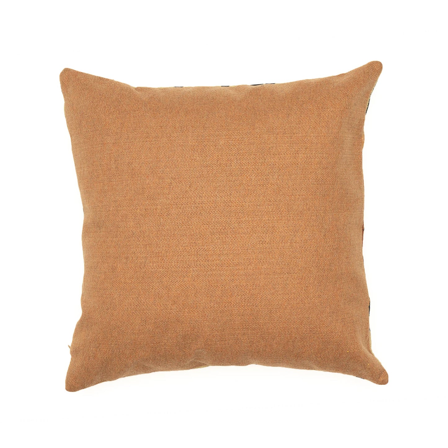 tiger pillow