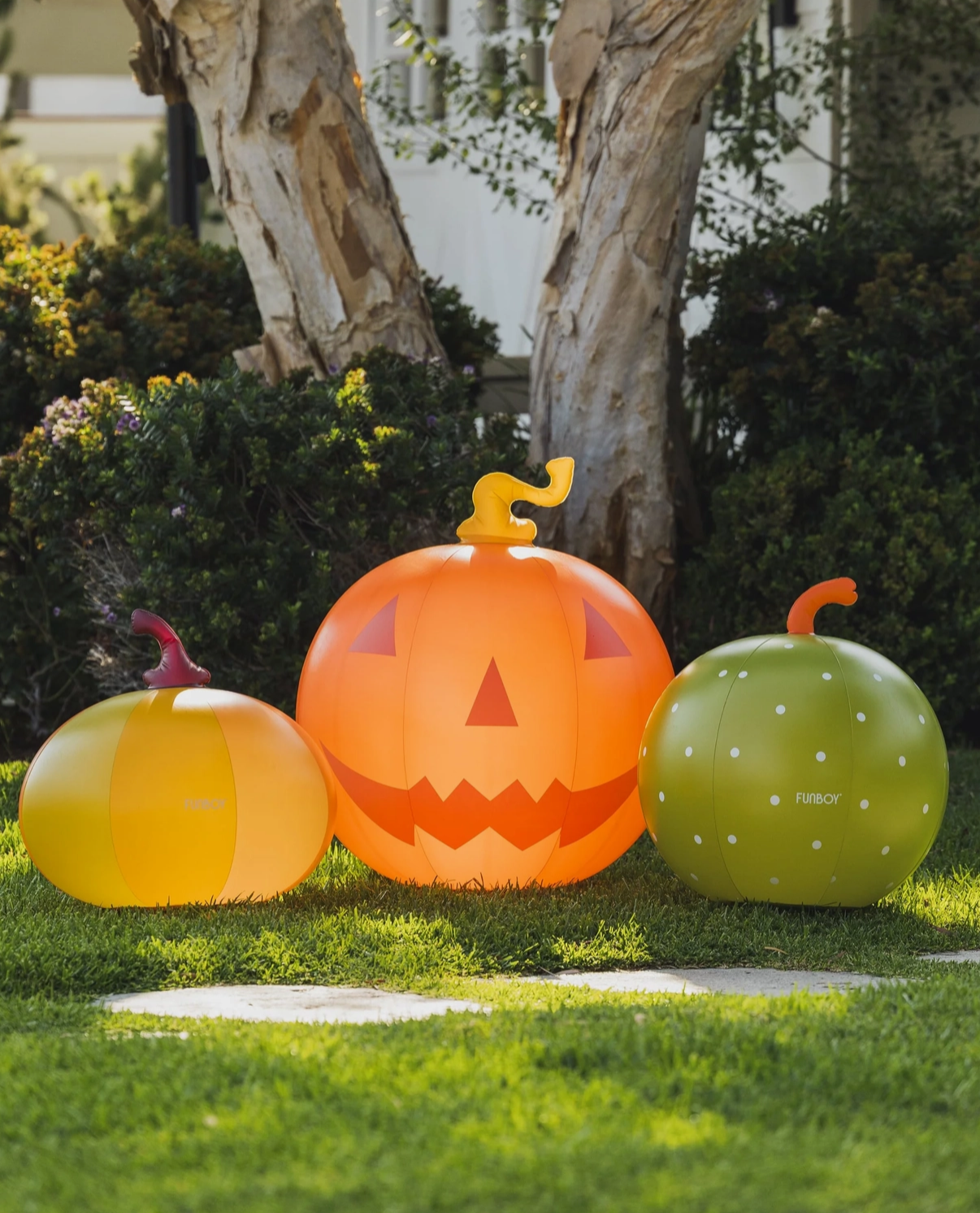 colorful halloween pumpkins