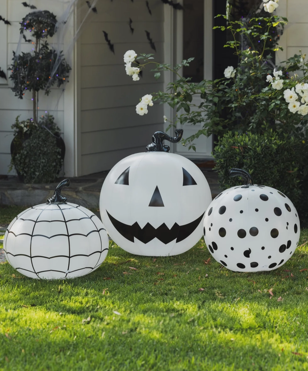 black and white halloween pumpkins